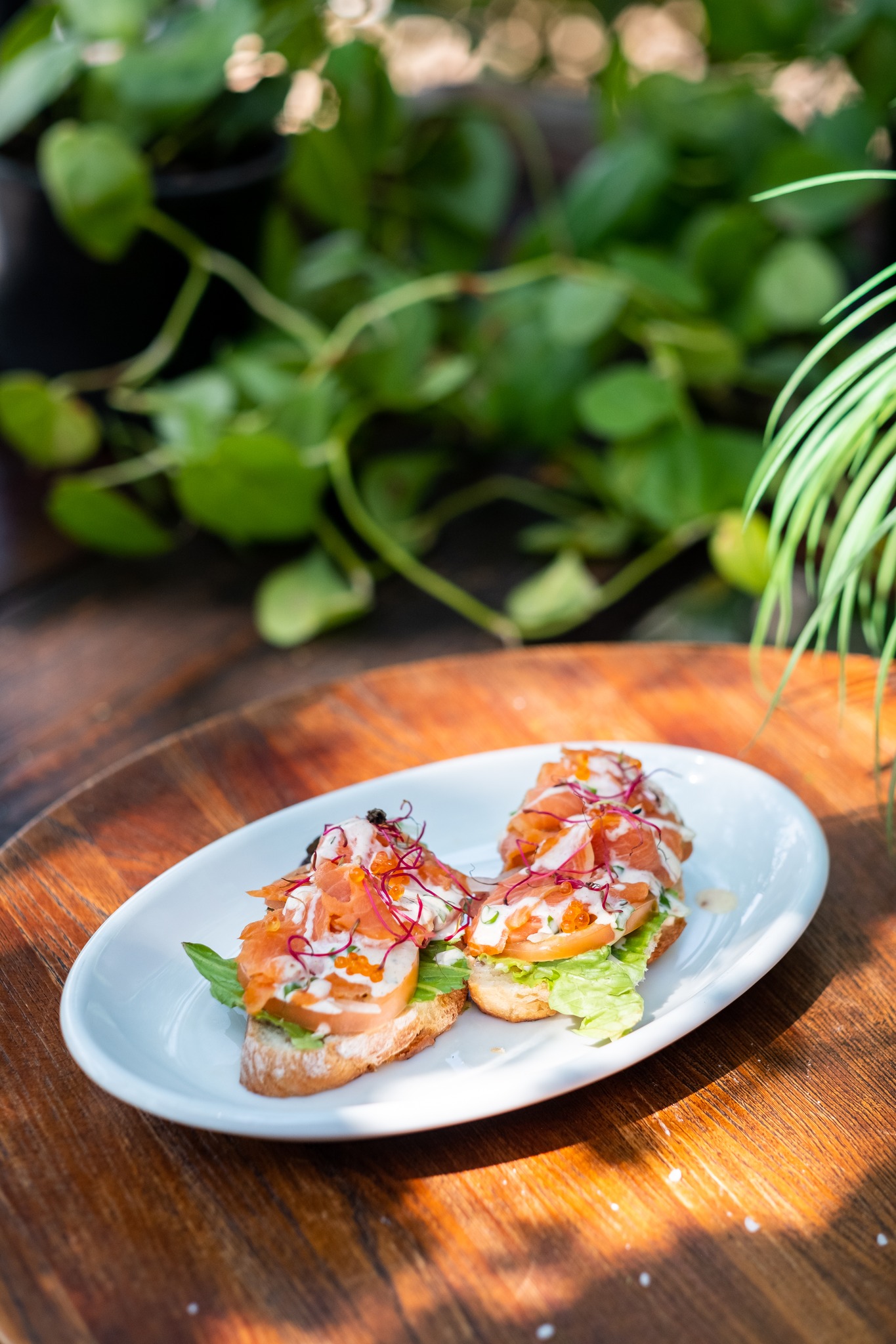 Ciabatta bread with salmon toppings